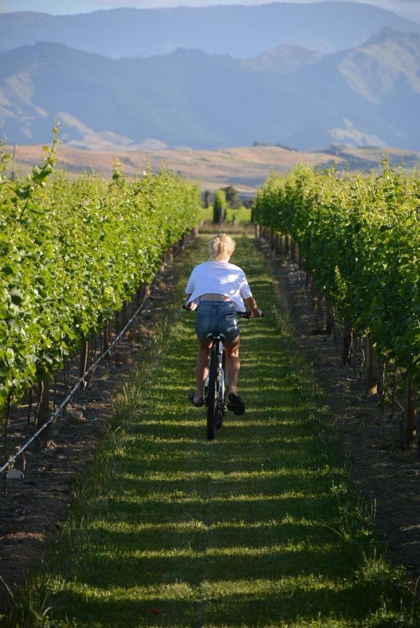 Ddog Vineyard & Bnb Renwick Экстерьер фото