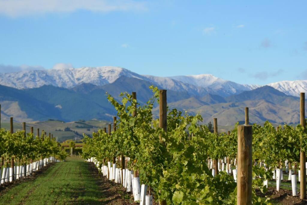 Ddog Vineyard & Bnb Renwick Экстерьер фото