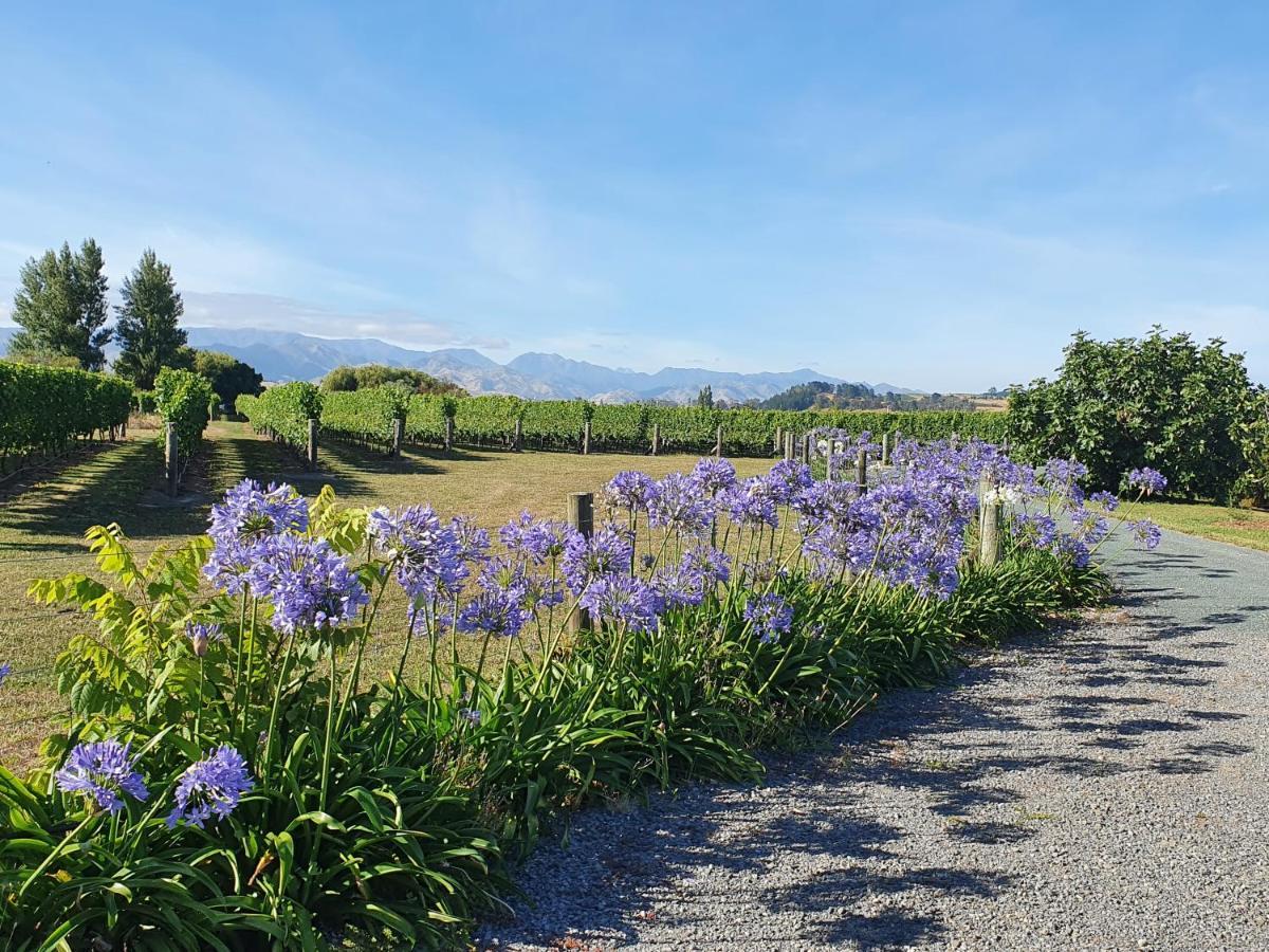 Ddog Vineyard & Bnb Renwick Экстерьер фото