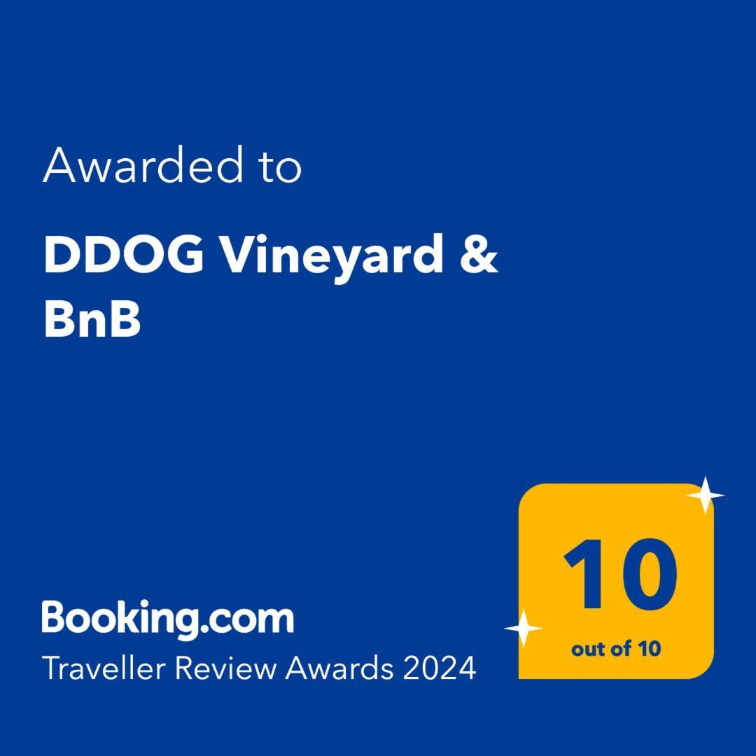 Ddog Vineyard & Bnb Renwick Экстерьер фото