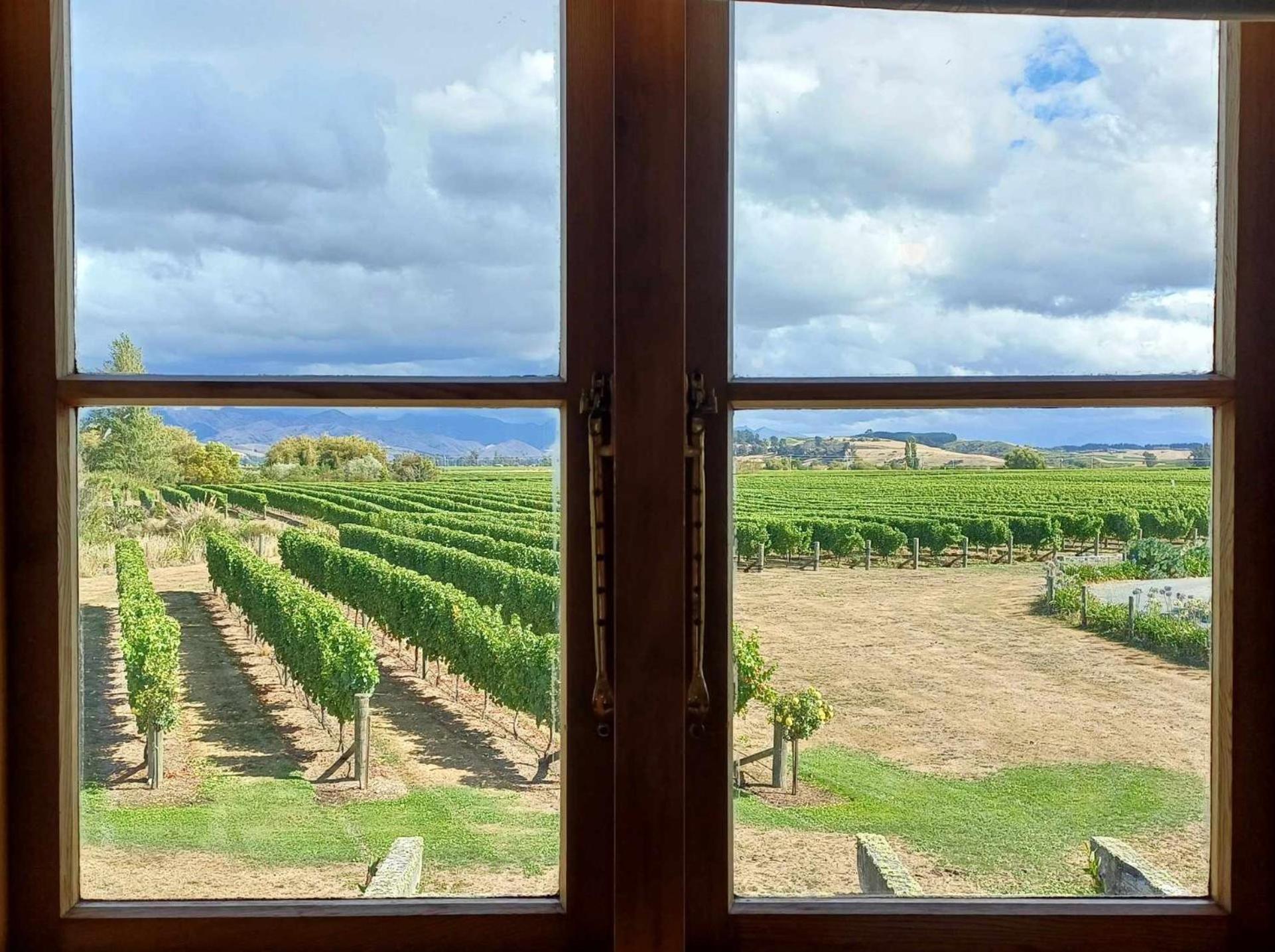 Ddog Vineyard & Bnb Renwick Экстерьер фото